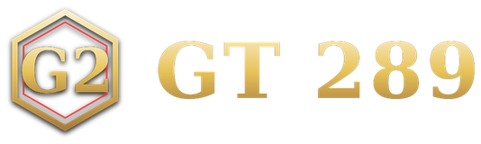 GT 289 โลโก้